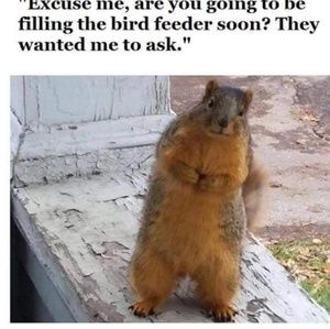 Meet your Posher, Jerry